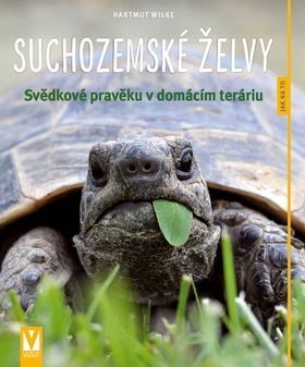 Suchozemské želvy