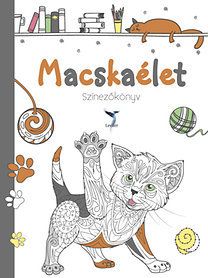 Macskaélet