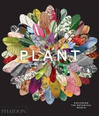 Plant - Exploring the Botanical World