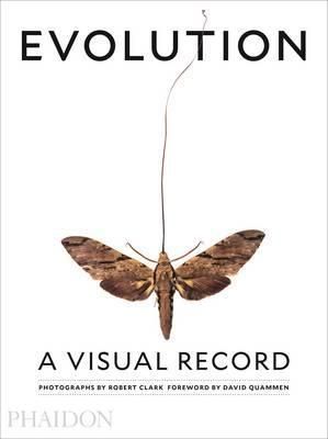 Evolution - A Visual Record