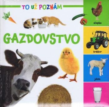 Gazdovstvo