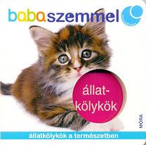 Állatkölykök - babaszemmel - Állatkölykök a természetben