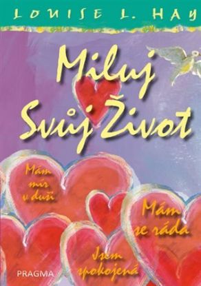 Miluj svůj život – ilustrované vydání - 3.vydání