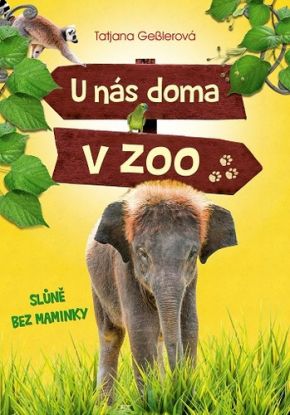 U nás doma v zoo - Slůně bez maminky