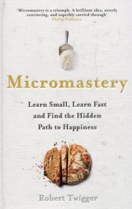 Micromastery The Hidden Path to Success