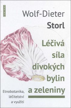 Léčivá síla divokých bylin a zeleniny