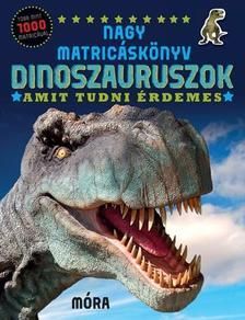 Dinoszauruszok /amit tudni érdemes - nagy matricáskönyv