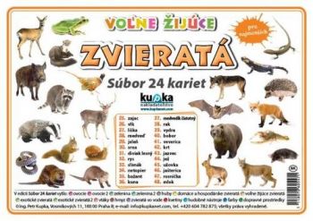 Súbor 24 kariet - zvieratá (voľne žijúce)