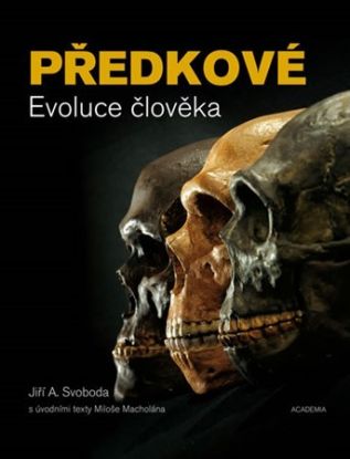 Předkové