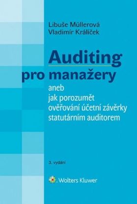 Auditing pro manažery, 3. vydání