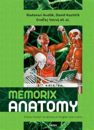 Memorix anatomy