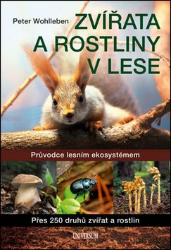 Zvířata a rostliny v lese