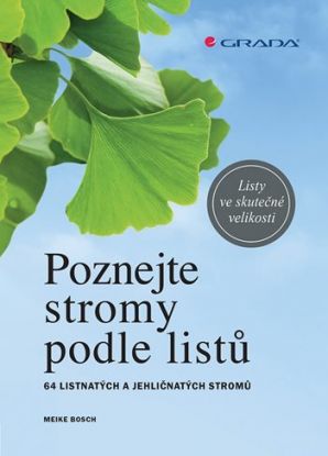 Poznejte stromy podle listů