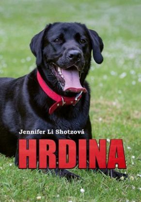 Hrdina (1)