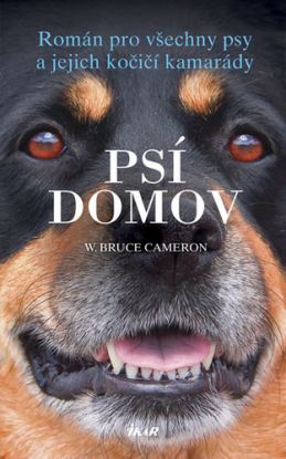 Psí domov (česky)