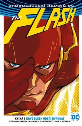 Flash 1: Když blesk udeří dvakrát