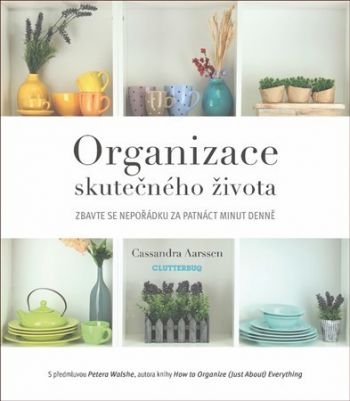 Organizace skutečného života