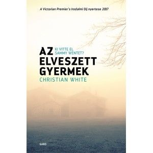 Az elveszett gyermek