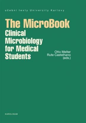 The MicroBook