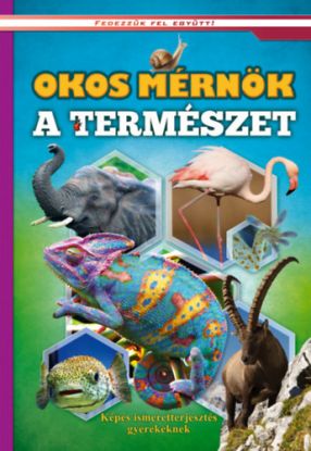 Okos mérnök a természet