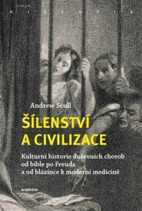 Šílenství a civilizace