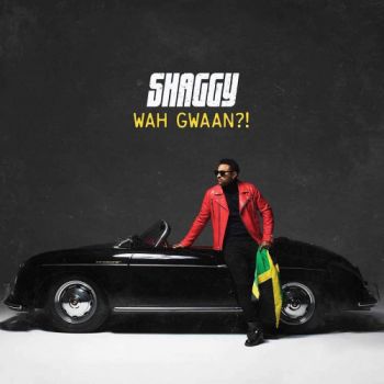 Shaggy - Wah Gwaan ?! 2LP