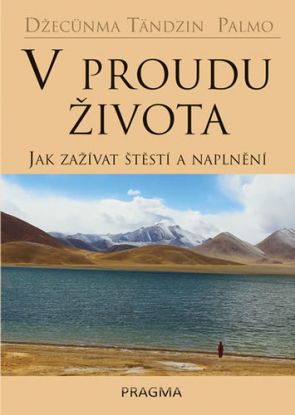 V proudu života