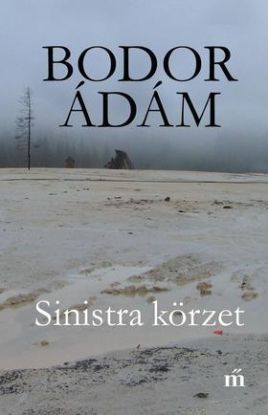 Sinistra körzet