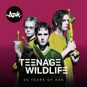 Ash - Teenage Wildlife: 25 Years Of Ash 2LP