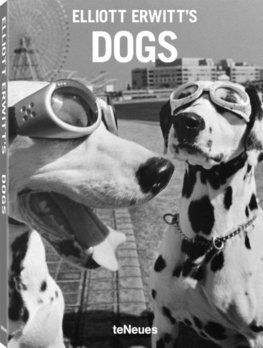 Elliott Erwitt\'s Dogs