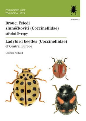 Brouci čeledi slunéčkovití (Coccinellidae)