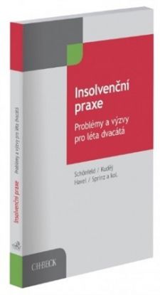 Insolvenční praxe