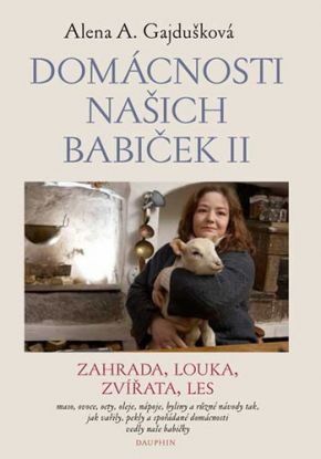 Domácnosti našich babiček II. (pevná väzba)