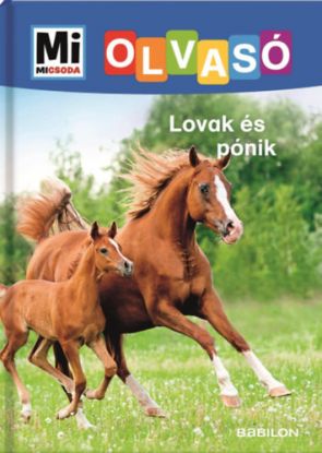 Lovak és pónik - Mi Micsoda Olvasó