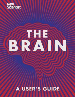 The Brain - Everything You Need to Know