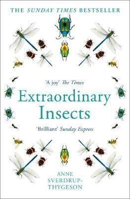 Extraordinary Insects