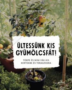 Ültessünk kis gyümölcsfát!