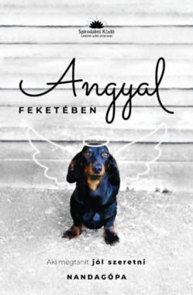 Angyal feketében