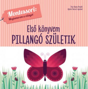 Első könyvem - Pillangó születik