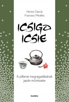 Icsigo-icsie