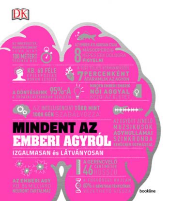 Mindent az emberi agyról