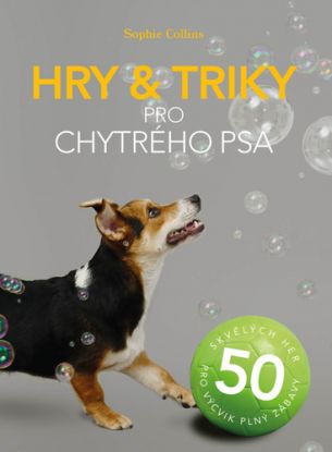 Hry & triky pro chytrého psa