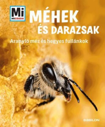 Méhek és darazsak – Mi micsoda