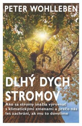 Dlhý dych stromov