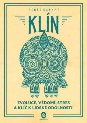 Klín