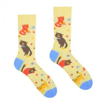 Unisex ponožky Hravé mačičky HestySocks (veľkosť: 35-38)