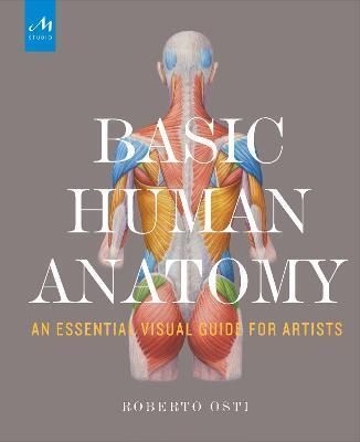 Basic Human Anatomy