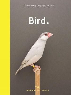 Bird.