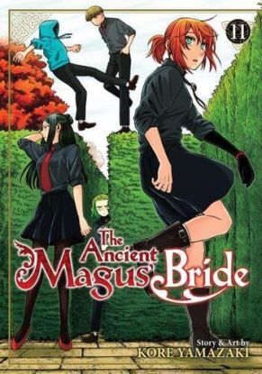 Ancient Magus Bride 11