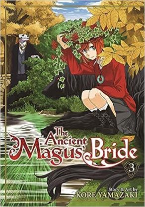 The Ancient Magus Bride 3